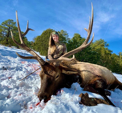 Calling in hunters—Arizona deer hunts.